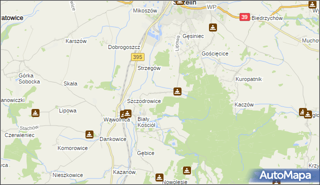 mapa Dębniki gmina Strzelin, Dębniki gmina Strzelin na mapie Targeo