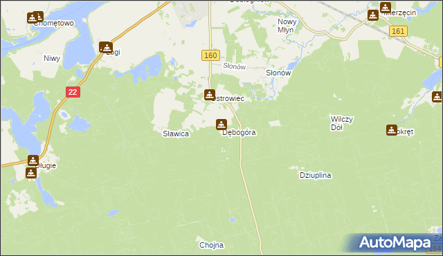 mapa Dębogóra gmina Dobiegniew, Dębogóra gmina Dobiegniew na mapie Targeo