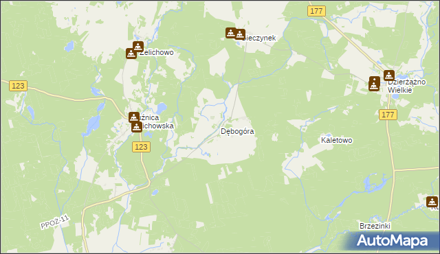 mapa Dębogóra gmina Wieleń, Dębogóra gmina Wieleń na mapie Targeo