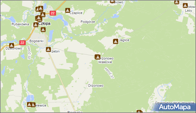 mapa Drzonowo Wałeckie, Drzonowo Wałeckie na mapie Targeo