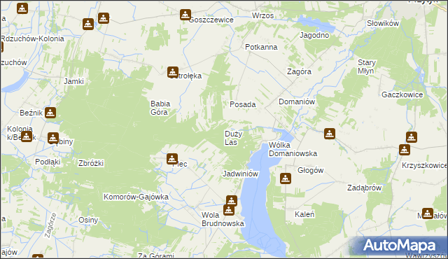 mapa Duży Las gmina Przytyk, Duży Las gmina Przytyk na mapie Targeo