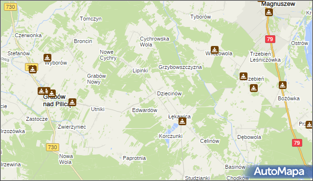 mapa Dziecinów gmina Grabów nad Pilicą, Dziecinów gmina Grabów nad Pilicą na mapie Targeo