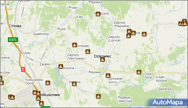 mapa Dzikowiec powiat kolbuszowski, Dzikowiec powiat kolbuszowski na mapie Targeo