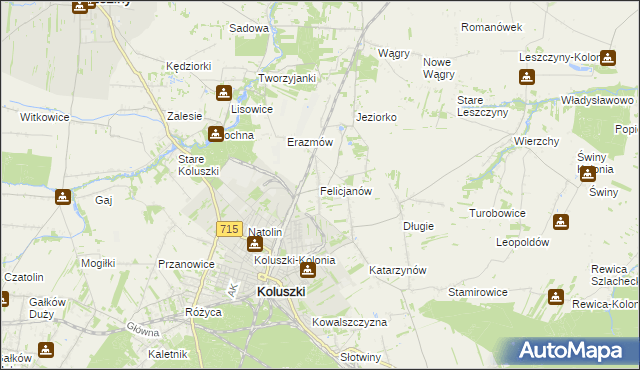mapa Felicjanów gmina Koluszki, Felicjanów gmina Koluszki na mapie Targeo