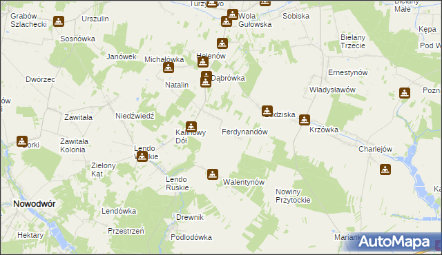 mapa Ferdynandów gmina Adamów, Ferdynandów gmina Adamów na mapie Targeo