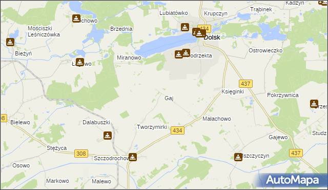 mapa Gaj gmina Gostyń, Gaj gmina Gostyń na mapie Targeo