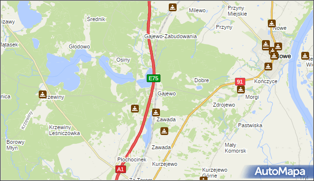 mapa Gajewo gmina Nowe, Gajewo gmina Nowe na mapie Targeo
