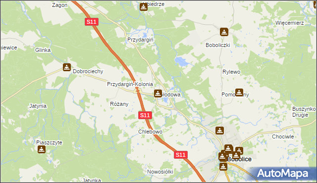 mapa Głodowa, Głodowa na mapie Targeo