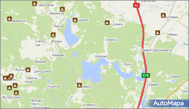 mapa Głodowo gmina Nowe, Głodowo gmina Nowe na mapie Targeo