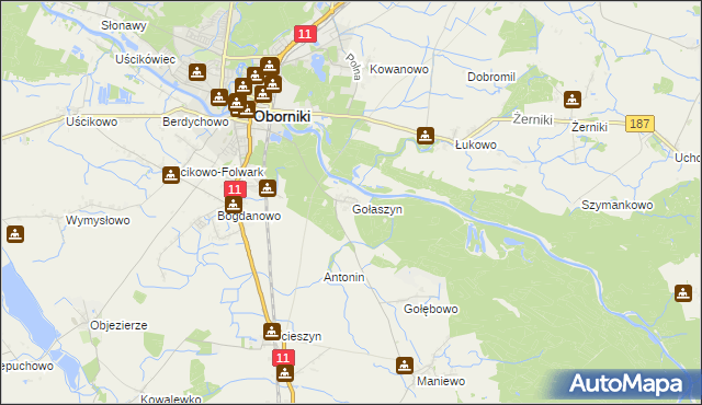 mapa Gołaszyn gmina Oborniki, Gołaszyn gmina Oborniki na mapie Targeo