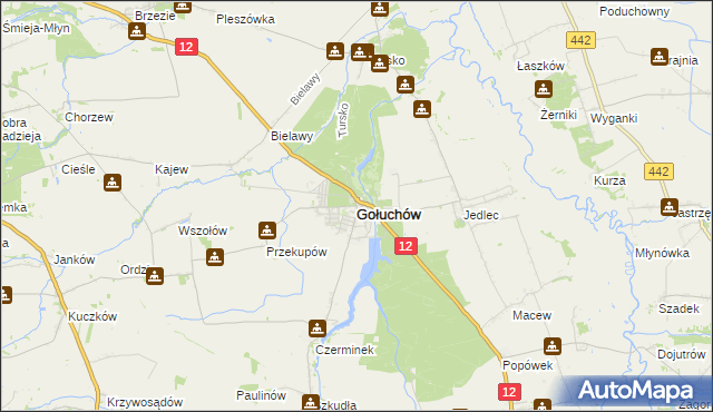 mapa Gołuchów powiat pleszewski, Gołuchów powiat pleszewski na mapie Targeo