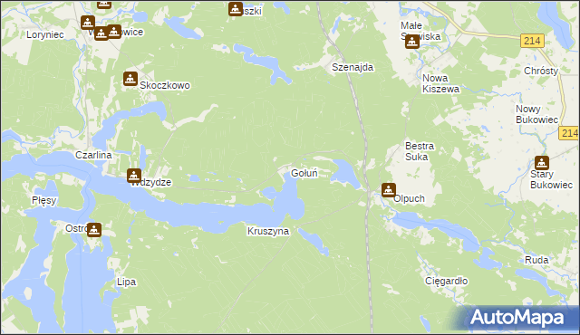 mapa Gołuń gmina Kościerzyna, Gołuń gmina Kościerzyna na mapie Targeo