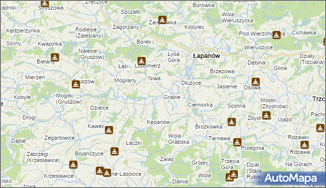 mapa Grabie gmina Łapanów, Grabie gmina Łapanów na mapie Targeo