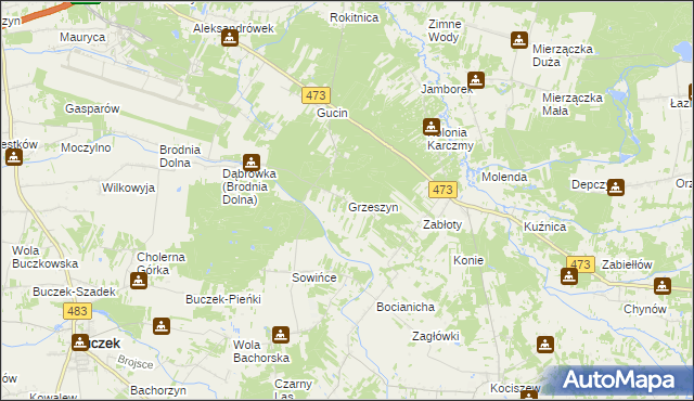 mapa Grzeszyn gmina Buczek, Grzeszyn gmina Buczek na mapie Targeo