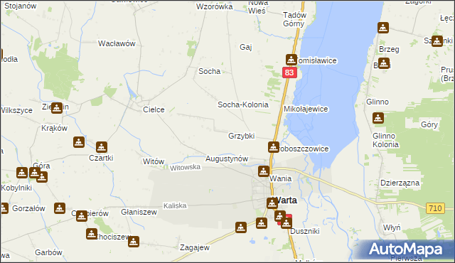 mapa Grzybki, Grzybki na mapie Targeo