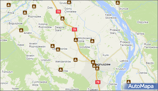 mapa Grzybów gmina Magnuszew, Grzybów gmina Magnuszew na mapie Targeo