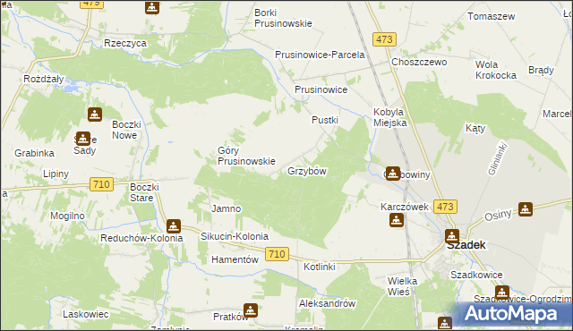 mapa Grzybów gmina Szadek, Grzybów gmina Szadek na mapie Targeo