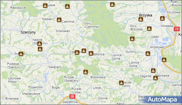 mapa Jabłonica gmina Skołyszyn, Jabłonica gmina Skołyszyn na mapie Targeo