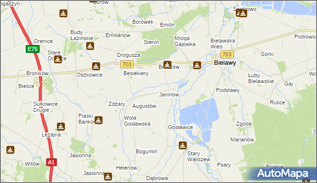 mapa Janinów gmina Bielawy, Janinów gmina Bielawy na mapie Targeo