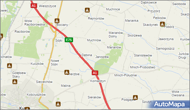 mapa Janiszew gmina Strzelce, Janiszew gmina Strzelce na mapie Targeo