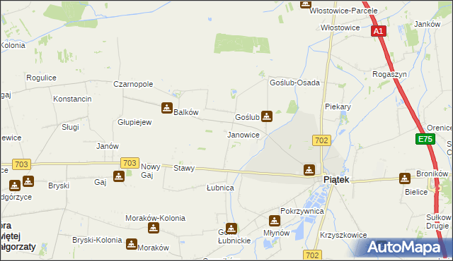 mapa Janowice gmina Piątek, Janowice gmina Piątek na mapie Targeo