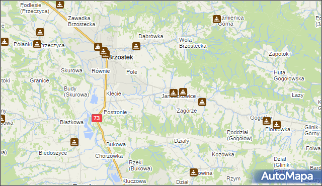 mapa Januszkowice gmina Brzostek, Januszkowice gmina Brzostek na mapie Targeo