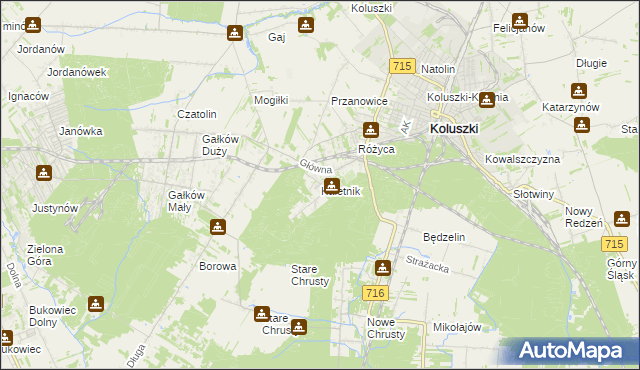 mapa Kaletnik gmina Koluszki, Kaletnik gmina Koluszki na mapie Targeo