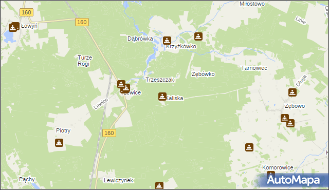 mapa Kaliska gmina Międzychód, Kaliska gmina Międzychód na mapie Targeo