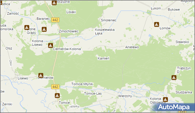 mapa Kamień gmina Pyzdry, Kamień gmina Pyzdry na mapie Targeo