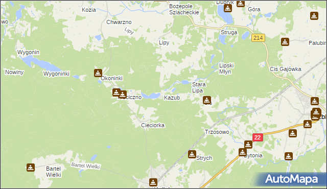 mapa Kazub gmina Kaliska, Kazub gmina Kaliska na mapie Targeo