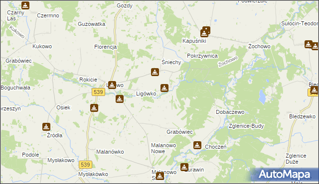 mapa Kokoszczyn gmina Mochowo, Kokoszczyn gmina Mochowo na mapie Targeo