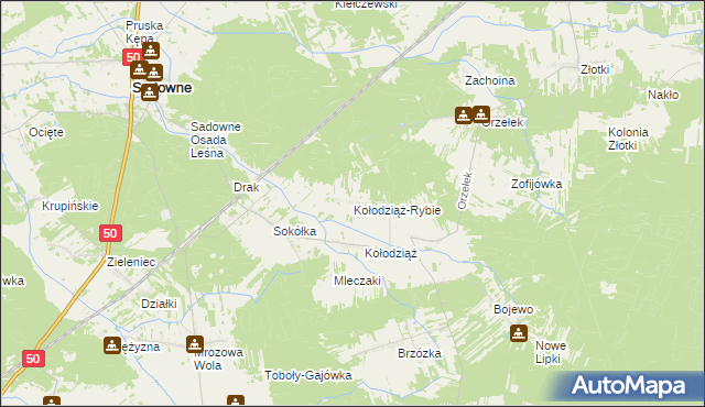 mapa Kołodziąż-Rybie, Kołodziąż-Rybie na mapie Targeo