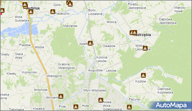 mapa Kolonia Lesiów, Kolonia Lesiów na mapie Targeo