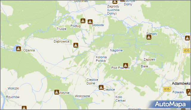 mapa Kolonia Polska, Kolonia Polska na mapie Targeo