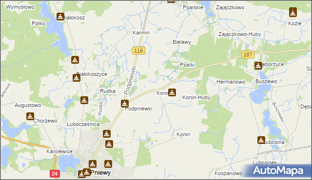 mapa Koninek gmina Pniewy, Koninek gmina Pniewy na mapie Targeo