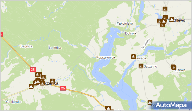 mapa Koprzywnica gmina Przechlewo, Koprzywnica gmina Przechlewo na mapie Targeo