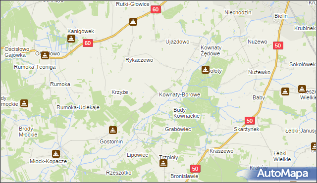 mapa Kownaty-Borowe, Kownaty-Borowe na mapie Targeo