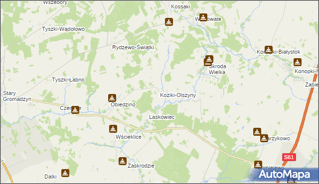 mapa Koziki-Olszyny, Koziki-Olszyny na mapie Targeo