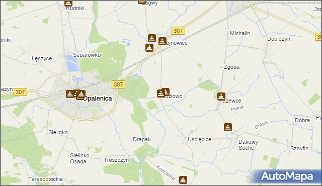 mapa Kozłowo gmina Opalenica, Kozłowo gmina Opalenica na mapie Targeo