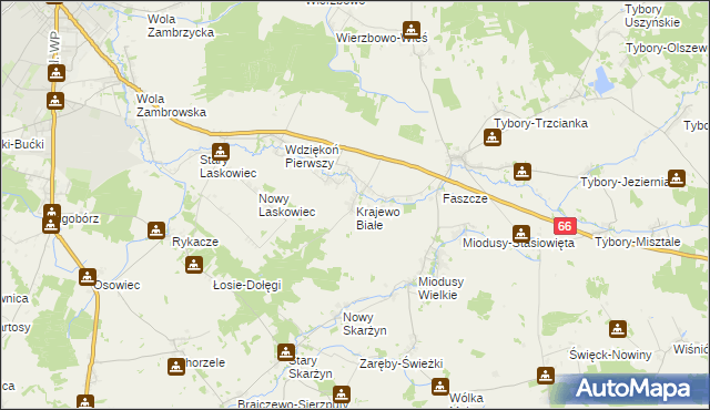 mapa Krajewo Białe, Krajewo Białe na mapie Targeo