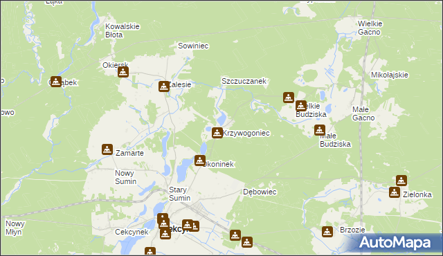 mapa Krzywogoniec, Krzywogoniec na mapie Targeo