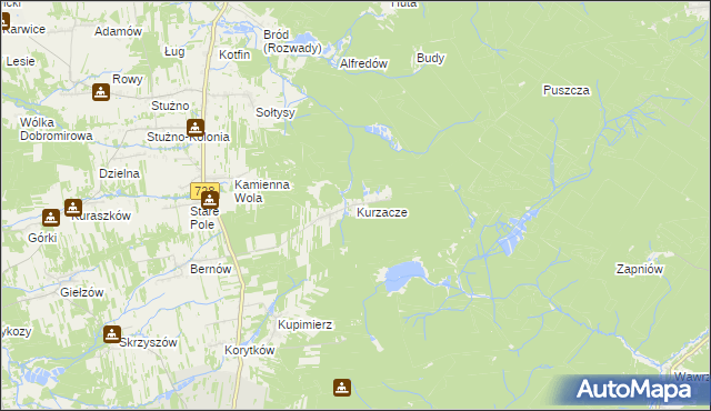 mapa Kurzacze gmina Gowarczów, Kurzacze gmina Gowarczów na mapie Targeo