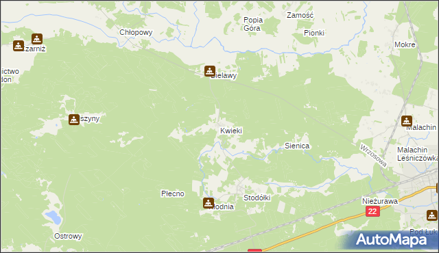 mapa Kwieki, Kwieki na mapie Targeo