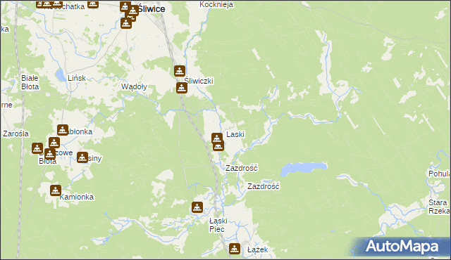 mapa Laski gmina Śliwice, Laski gmina Śliwice na mapie Targeo