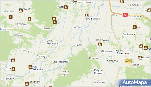 mapa Leśnik gmina Poddębice, Leśnik gmina Poddębice na mapie Targeo