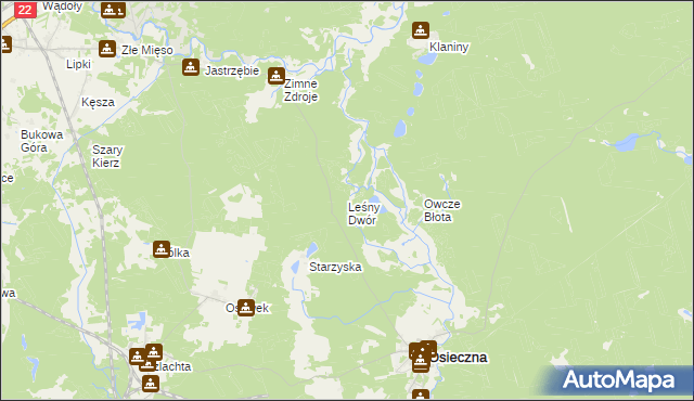 mapa Leśny Dwór gmina Osieczna, Leśny Dwór gmina Osieczna na mapie Targeo