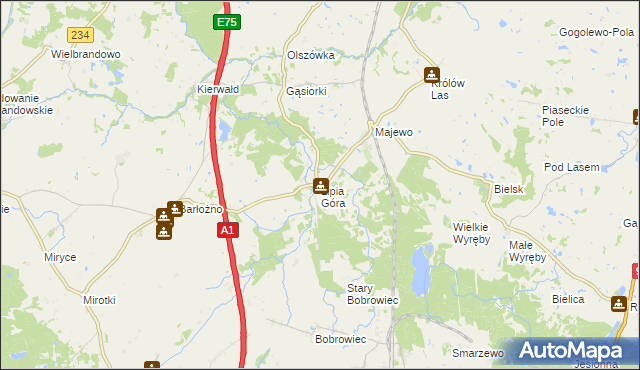 mapa Lipia Góra gmina Morzeszczyn, Lipia Góra gmina Morzeszczyn na mapie Targeo