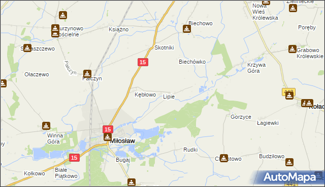 mapa Lipie gmina Miłosław, Lipie gmina Miłosław na mapie Targeo