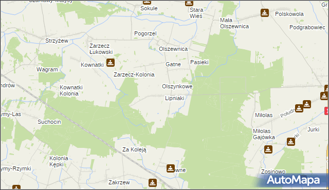 mapa Lipniaki, Lipniaki na mapie Targeo