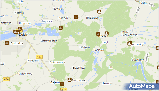 mapa Lipówka gmina Dolsk, Lipówka gmina Dolsk na mapie Targeo